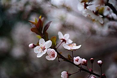 《博德之门3》7号热修复补丁上线 修复一些崩溃问题